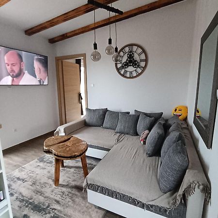 Cattleya Apartment Novigrad  Exterior photo