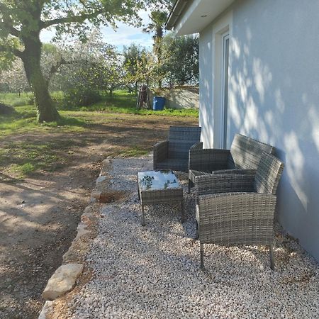 Cattleya Apartment Novigrad  Exterior photo