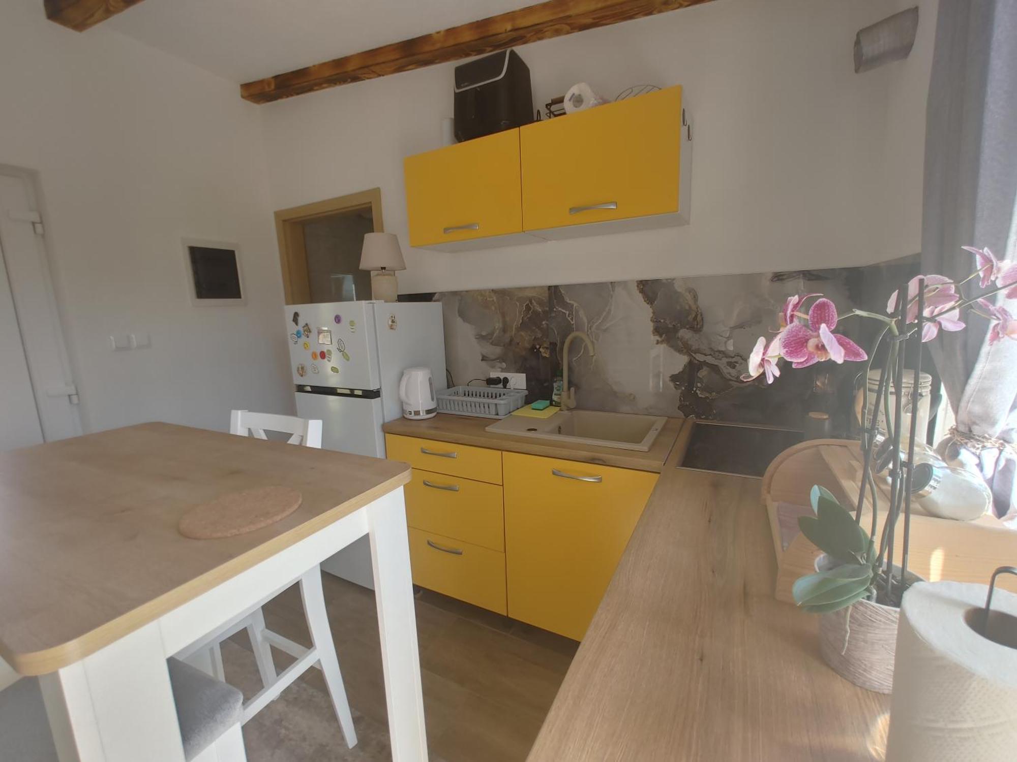 Cattleya Apartment Novigrad  Exterior photo